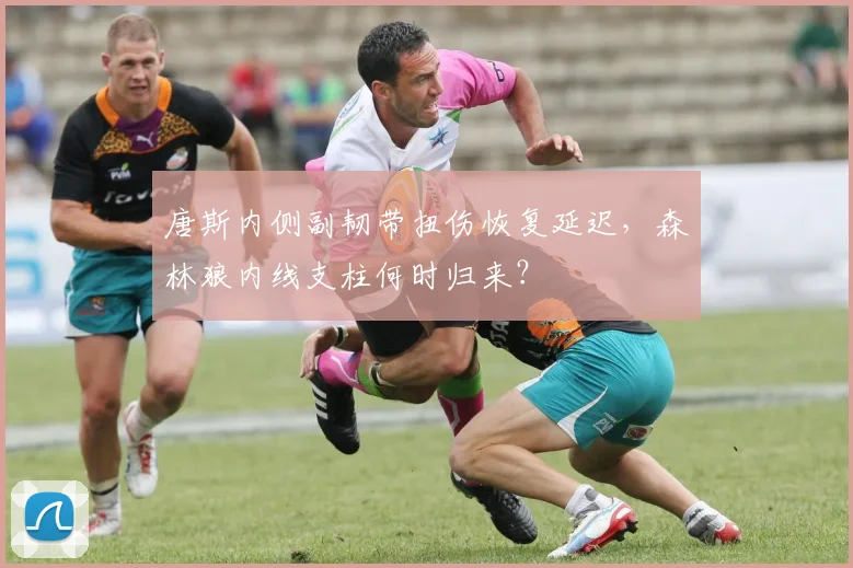 唐斯内侧副韧带扭伤恢复延迟，森林狼内线支柱何时归来？